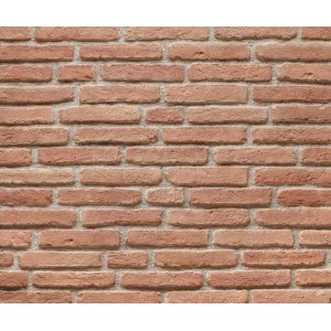 Ferrara Pink Kültür Tuğlası (B02PN)